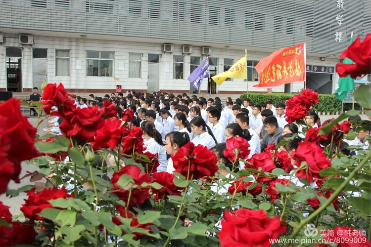 遇见！一所让学习充满乐趣的学校 ——记趣味赛的一天